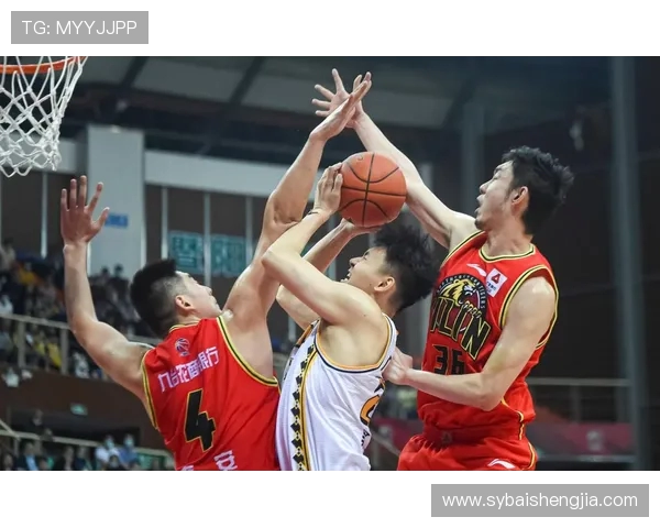 上海排球队实力飙升创新高引发全国关注与期待