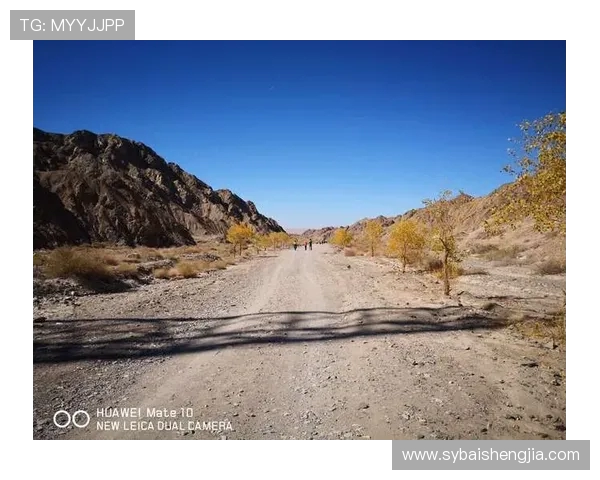 与吴娜畅谈街舞之路与人生追求的精彩旅程 与吴娜畅谈街舞之路与人生追求的精彩旅程