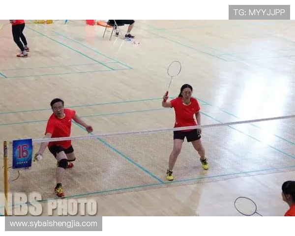 北京羽毛球队比赛经验分享与战术分析探讨之旅