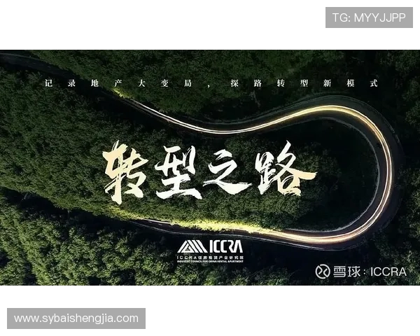 南京排球队的转型之路:从传统强队到现代化竞技新标杆