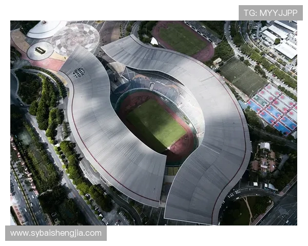 广州乒乓球队全运会征程回顾与突破成就的深度解析