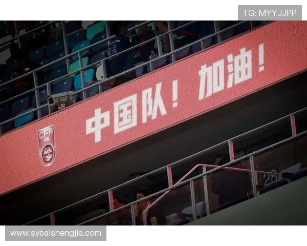 深圳排球队灵活性引发热议球迷与专家观点碰撞激烈