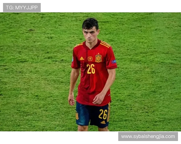 职业联赛分析：WE在耐力赛中的出色表现与未来发展潜力探讨