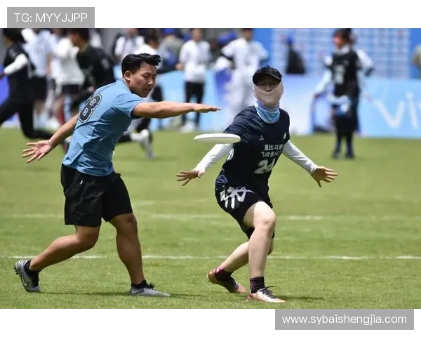 聚焦飞盘：南京飞盘队的耐力话题