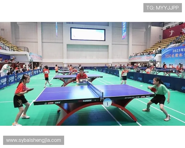 西安乒乓球队个人能力深度剖析与发展潜力探讨