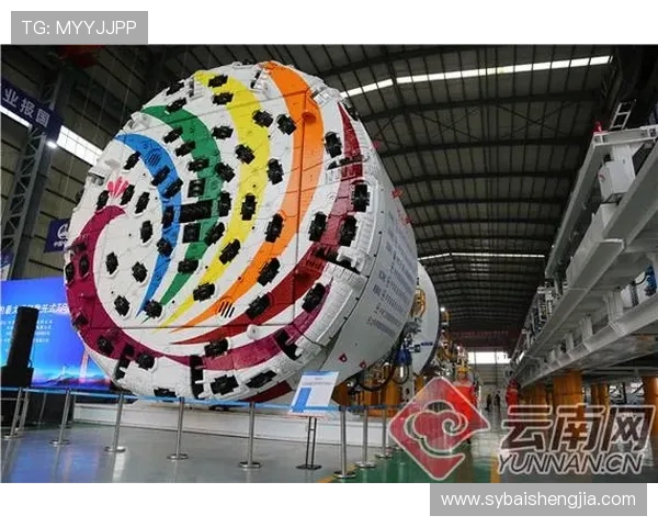 上海飞盘队实力深度分析与发展前景展望 上海飞盘队实力深度分析与发展前景展望