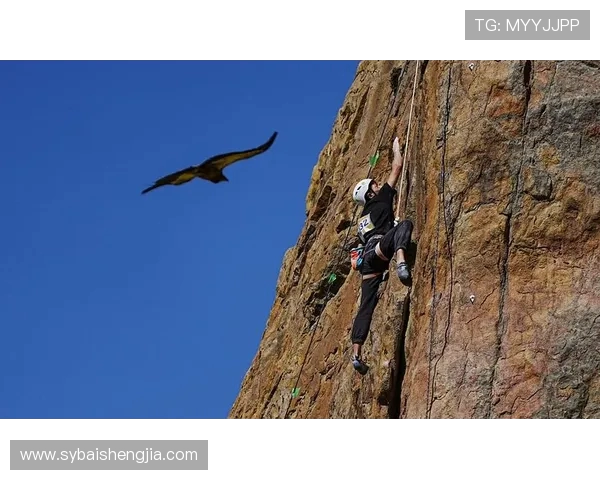 北京攀岩队耐力训练引发热议专家与选手观点大相径庭 北京攀岩队耐力训练引发热议专家与选手观点大相径庭